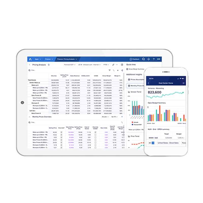 Anaplan's user interface on mobile devices.